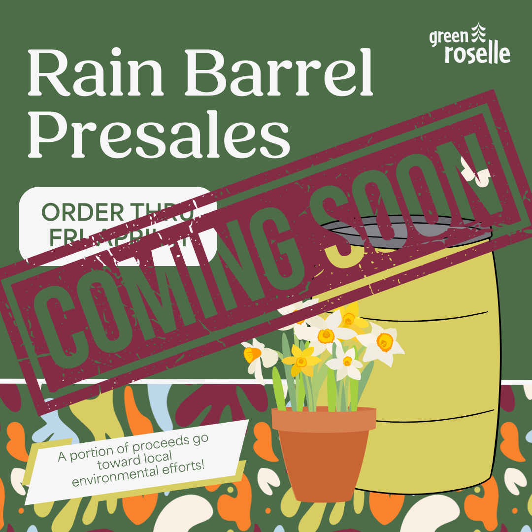 Rain Barrel Sales Coming Soon