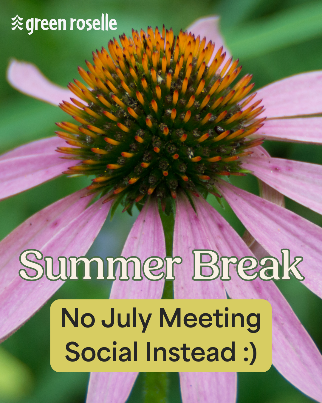 Summer Break